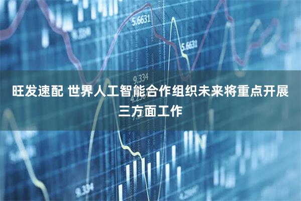 旺发速配 世界人工智能合作组织未来将重点开展三方面工作
