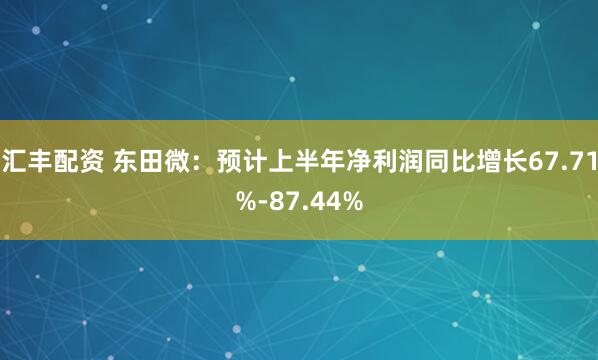 汇丰配资 东田微：预计上半年净利润同比增长67.71%-87.44%