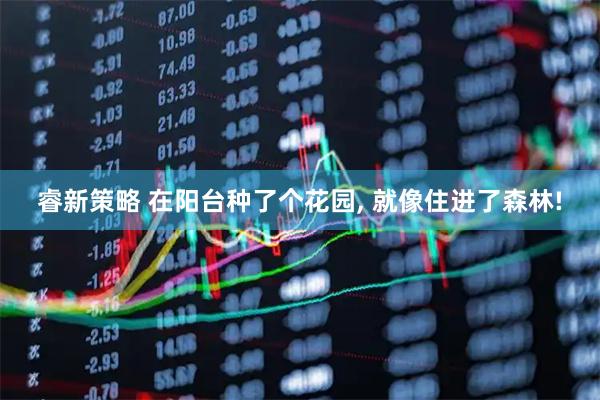 睿新策略 在阳台种了个花园, 就像住进了森林!
