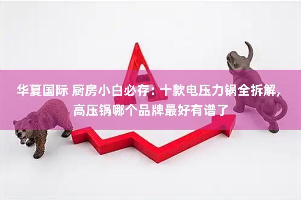华夏国际 厨房小白必存: 十款电压力锅全拆解, 高压锅哪个品牌最好有谱了