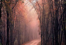 初学者应该如何选择股票:最安全的杠杆炒股平台有哪些-持仓曝光！险资系私募基金买了这些股票！